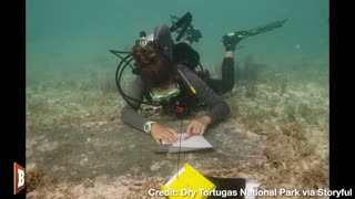 Underwater Cemetery, Hospital Discovered in Florida Keys by Archeologists