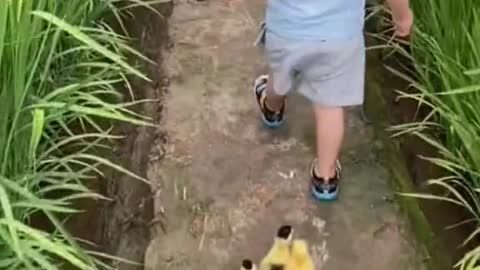 baby with ducks