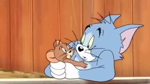 Tom and Jerry funny cartoon with dog