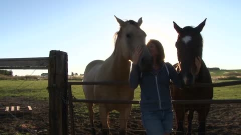 Woman With Her Horses On Ranch