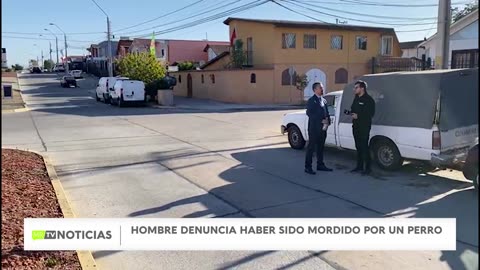 DENUNCIA CIUDADANA: PERRO CALLEJERO MORDIÓ A PEATÓN EN LA SERENA