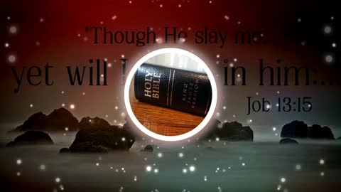 Holy Bible Job 13