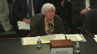 Yellen Insists the IRS Is Unpopular Because They Are Too Small