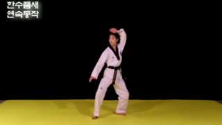 Taekwondo All 9 Black Belt Forms