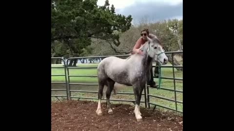 Big Horses Compilation pt.1