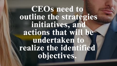 CEO Essential Questions: How do you plan to achieve these goals?