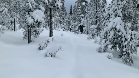 Forging a Path – Central Oregon – Vista Butte Sno-Park – 4K