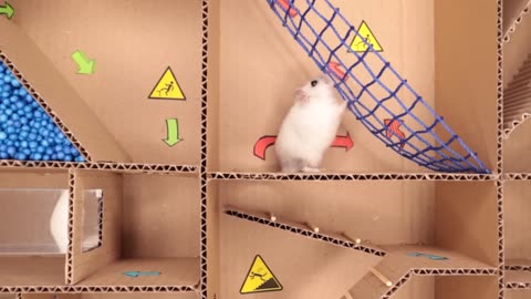 Hamster pets but with Traps in maze