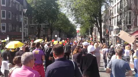 huge anti apartheid protest in netherlands