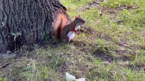 Colder weather brings urgency to all James Gardens Toronto residents