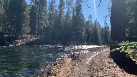 Hiking Along Glistening Metolius River – Central Oregon