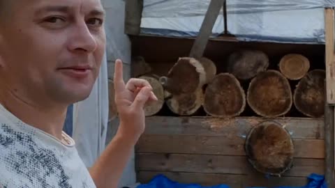 Man Sticks Glass Bottle into Moving Tree Target