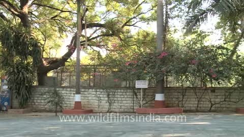 Film and Television Institute of India (FTII), Pune