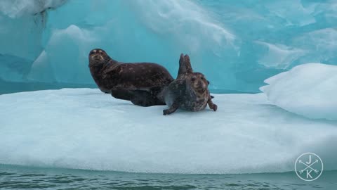 Alaska in 8k 60p HDR (Dolby vision)