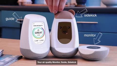 Meet Nooku The AI Powered, Predictive Air Quality Monitor