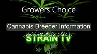 Growers Choice - Cannabis Strain Series - STRAIN TV