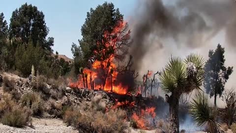 vehicle FIRE damage from a California wildfire.