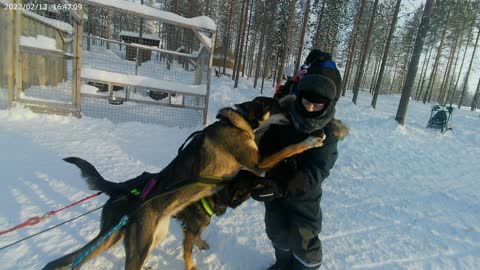 Lapland - Family Experience - *BEST BITS*