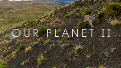 TRAILER ｜ Incredible New Paleo Documentary Coming To Netflix! Life On Our Planet