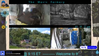 Life on Doc's Farm : Mavis Institute 🎵 🐓🦆🐝🐇🐖: Farmcore