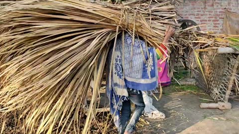 Life Of Indian Poor People Villagee Vlog UP Farmer Life IndiaUtr PradeshLie vlogs