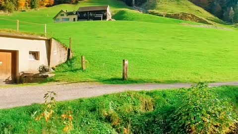 A wonderful landscape ⛰️🌲🍁