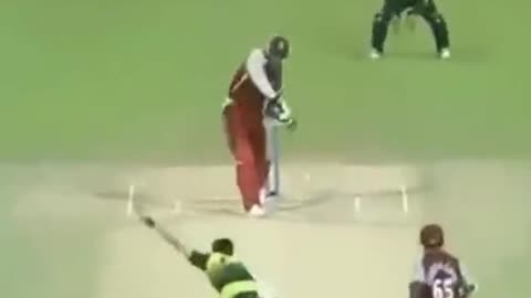 most funny catch