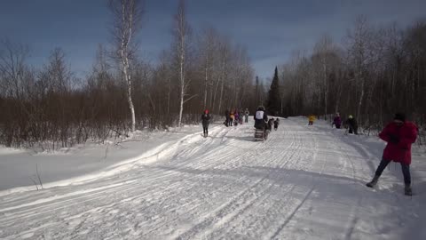 John Beargrease Sled Dog Race