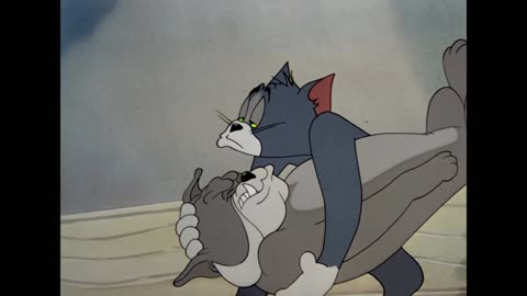 Tom & Jerry Best Buddies