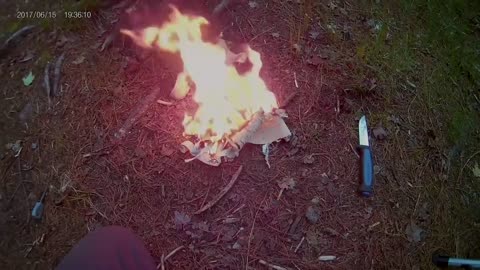 Birch bark fire technique