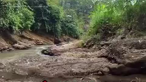 FISHERMAN FILMS SNAKE WOMAN ON THE CAMBODIA RIVERBED WATCH THE VIDEO AND SHARE