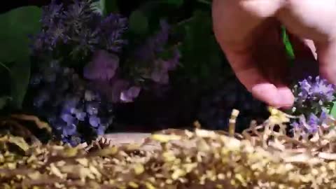 🦌How to Make Resin Jar🍀 a Miniature Moss Elk Forest Terrarium