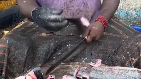 Fish cutting ✂️