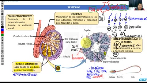 ANUAL ADUNI 2023 | Semana 35 | Literatura | Cívica | Biología