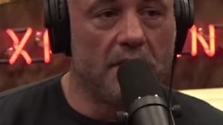 Tate Wild Kickboxing Buddies Joe Rogan talk