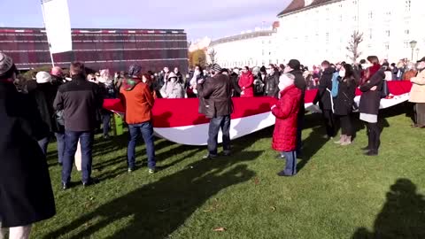 'I want my freedom': Austrians protest new lockdown