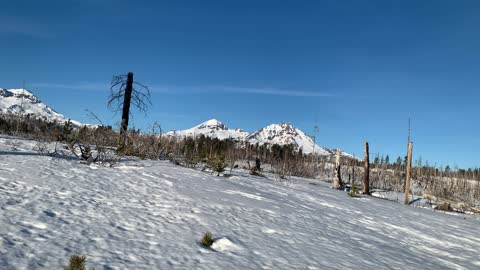 Fun Nerd Fact: What is Alpine? – Upper Three Creek Lake Sno-Park – Central Oregon