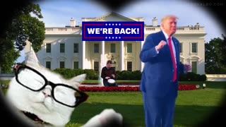 WE'RE TAKING BACK THE WHITE HOUSE!!!🥳🥳🥳