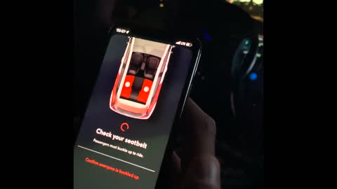 Driverless Taxi Doesn’t Want to Pick Me Up