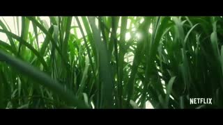 😨IN THE TALL GRASS Official Trailer 😨😨