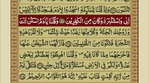 Quran 1 para with urdu translation «part 18»
