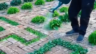 Super Gardening Idea #amazing #agriculture