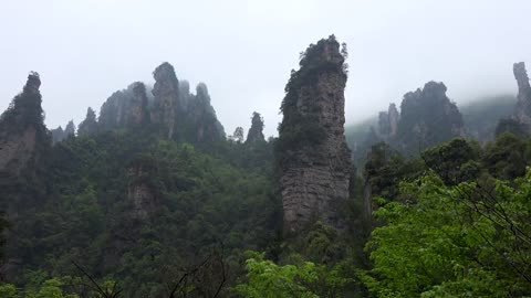 "Avatar" Mountain & Wulingyuan Scenic Area