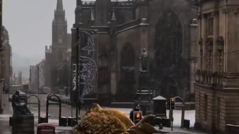 Enjoying the atmosphere of snowy days in Edinburgh, I don't know why