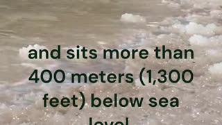 Dead Sea Fact - Dimensions! #shorts #facts