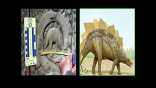 A Cambodian Stegosaur?