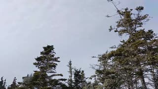 Spreading chemicals in the air over Nova Scotia