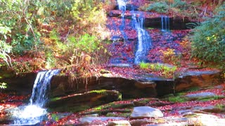 Tom's Branch Falls; Western North Carolina