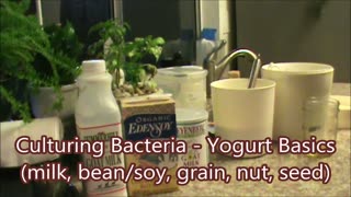 How to make yogurt (basics and options and personalization)