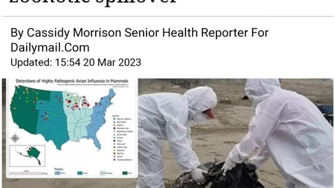 Vaccine makers 'standing ready' for human bird flu pandemic 🦅🦉🦜💉👇